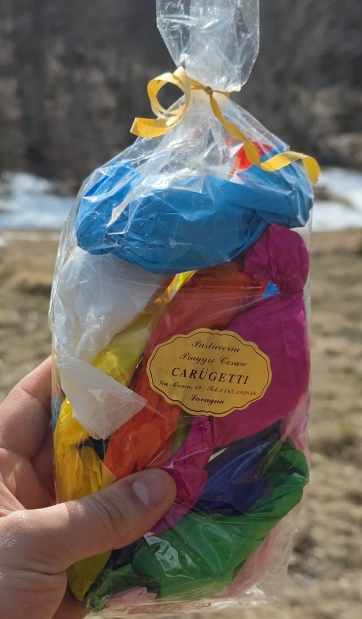 Carugetti in natura, che vengono tenuti da una mano, in primo piano il logo storico